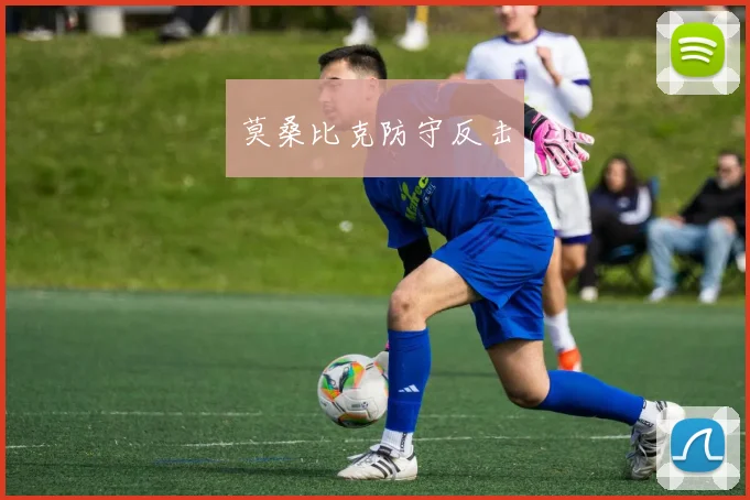 莫桑比克防守反击