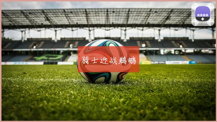 骑士迎战鹈鹕