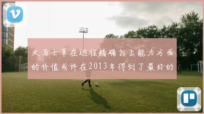 大马士革在远程精确打击能力方面的价值或许在2013年得到了最好的证明