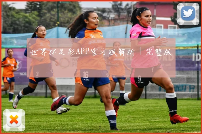 世界杯足彩APP官方版解析｜完整版
