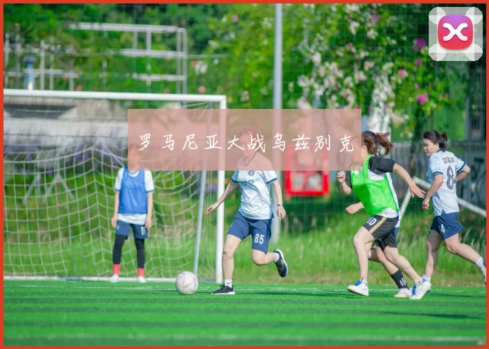 罗马尼亚大战乌兹别克