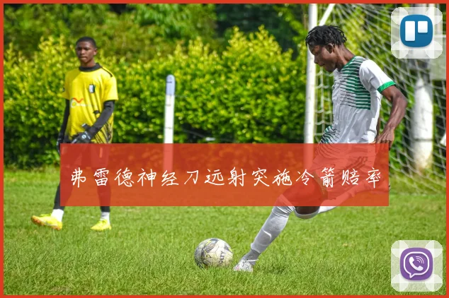 弗雷德神经刀远射突施冷箭赔率