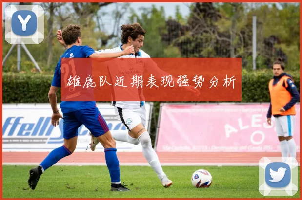 雄鹿队近期表现强势分析