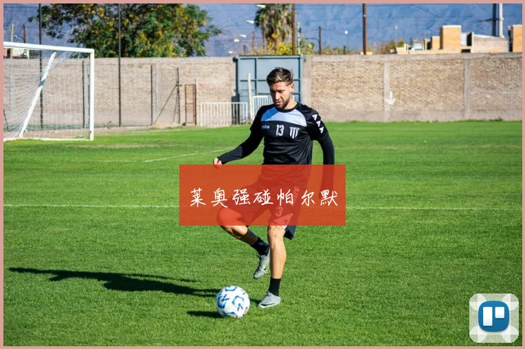 莱奥强碰帕尔默