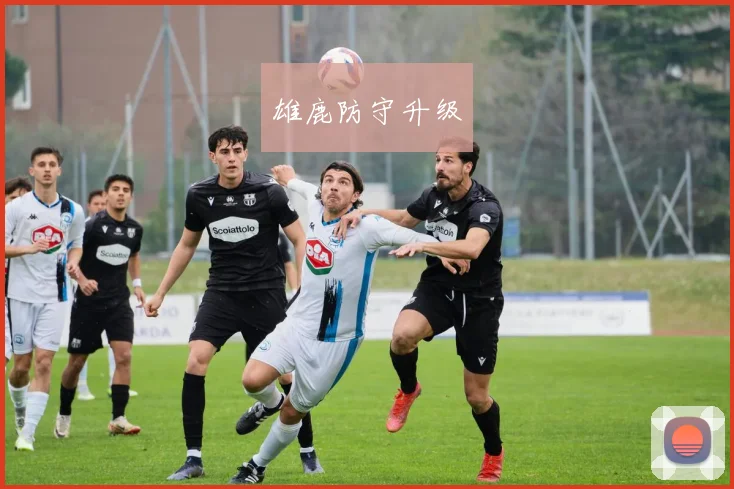 雄鹿防守升级