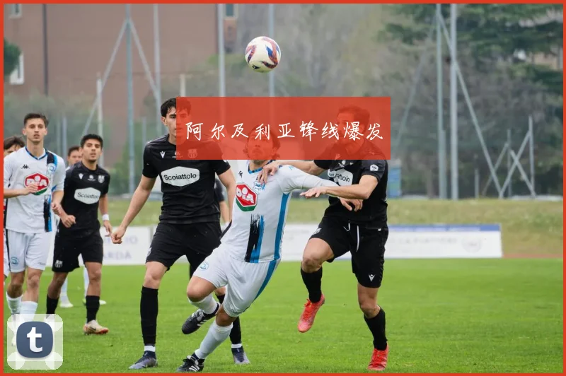 阿尔及利亚锋线爆发