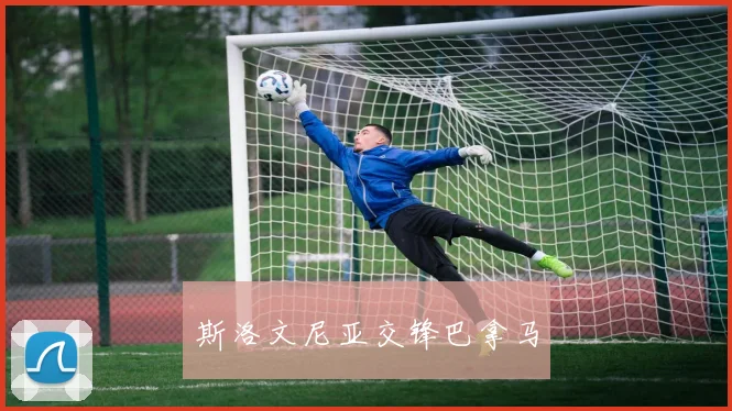 斯洛文尼亚交锋巴拿马