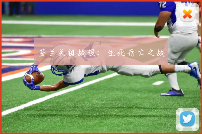 芬兰关键战役：生死存亡之战