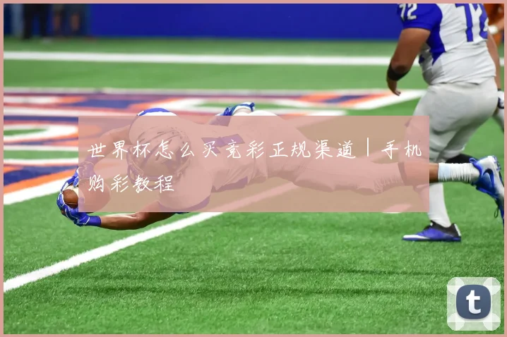 世界杯怎么买竞彩正规渠道｜手机购彩教程