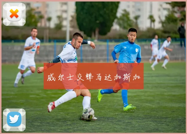 威尔士交锋马达加斯加