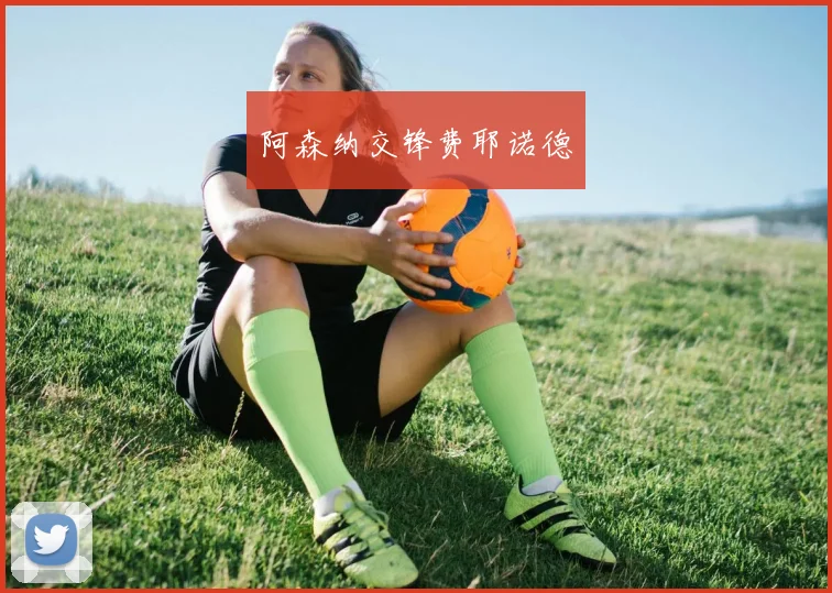 阿森纳交锋费耶诺德