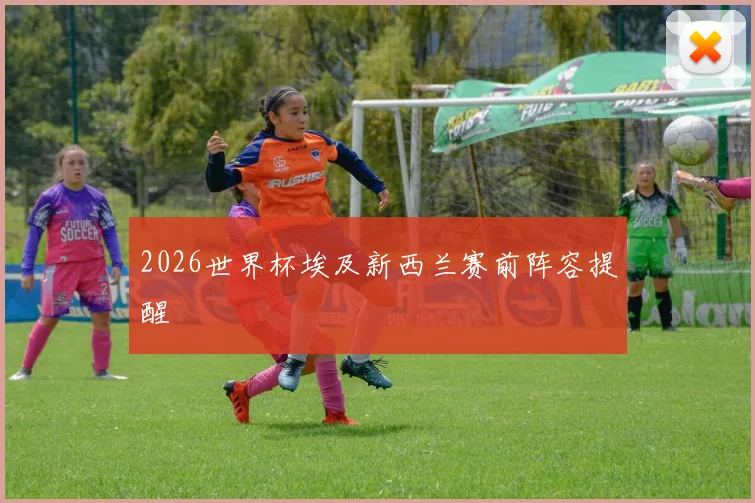 2026世界杯埃及新西兰赛前阵容提醒