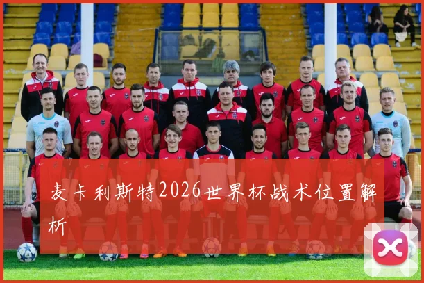 麦卡利斯特2026世界杯战术位置解析