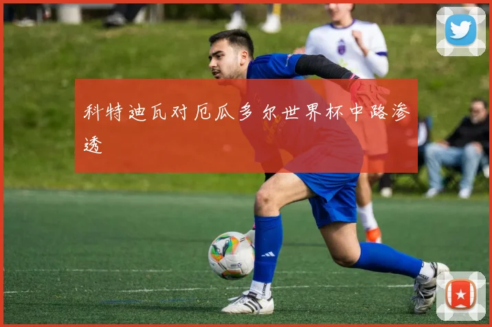 科特迪瓦对厄瓜多尔世界杯中路渗透
