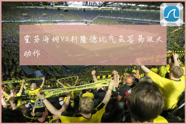 霍芬海姆vs科隆德比气氛容易放大动作