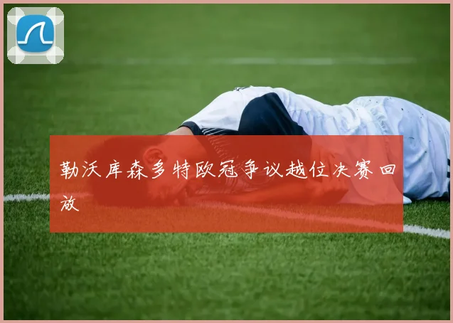 勒沃库森多特欧冠争议越位决赛回放