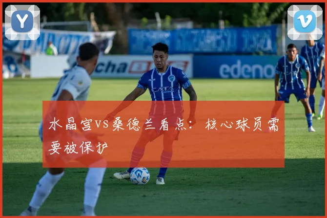 水晶宫vs桑德兰看点:核心球员需要被保护