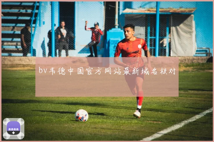 bv韦德中国官方网站最新域名核对