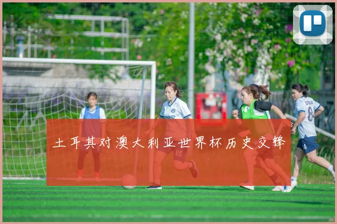 土耳其对澳大利亚世界杯历史交锋