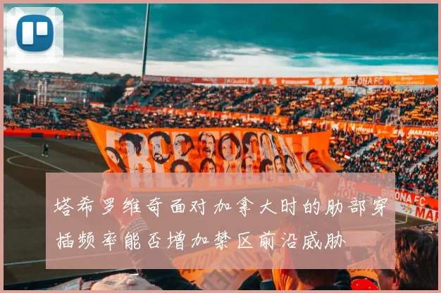 塔希罗维奇面对加拿大时的肋部穿插频率能否增加禁区前沿威胁