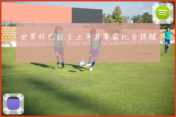 世界杯巴拉圭土耳其赛前比分提醒